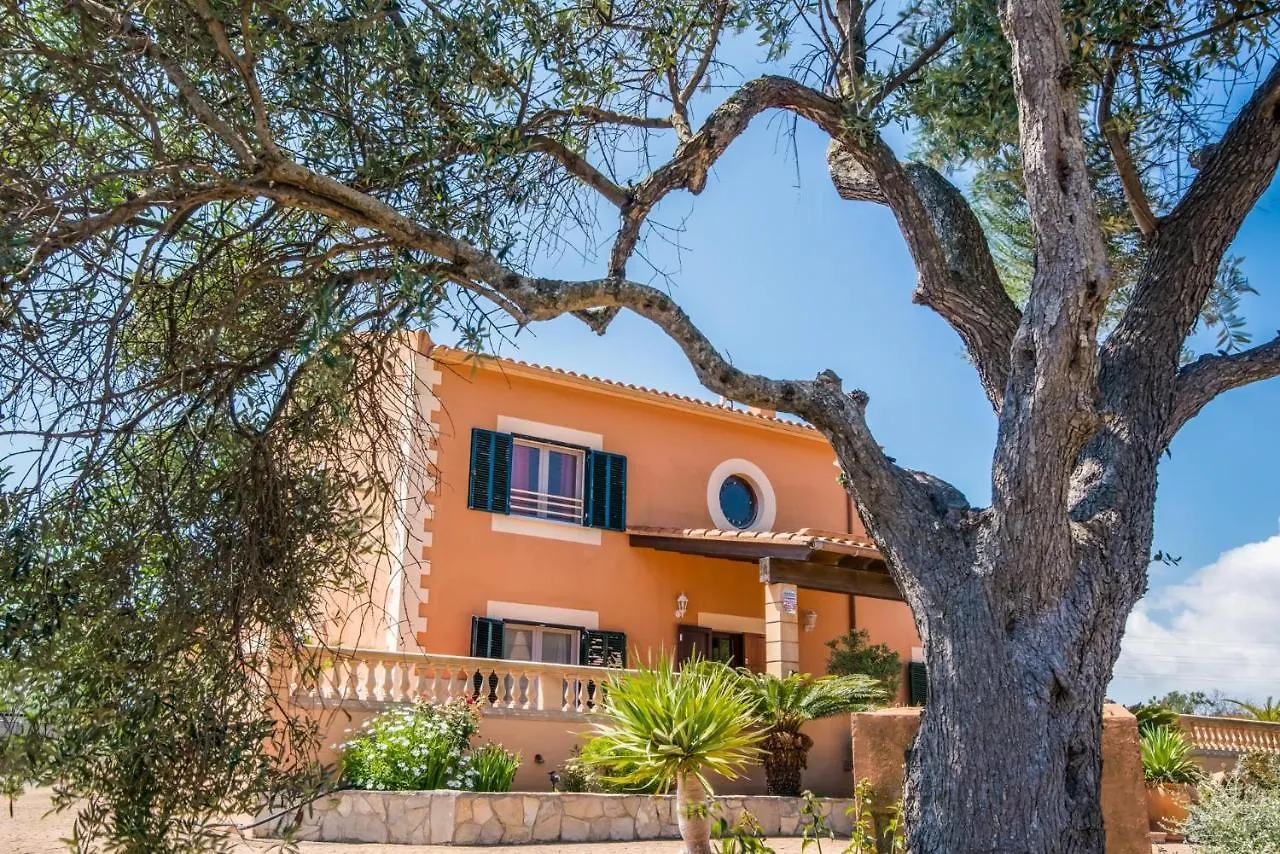 Ideal Property Mallorca - Villa Bona Vista Capdepera  Landsted